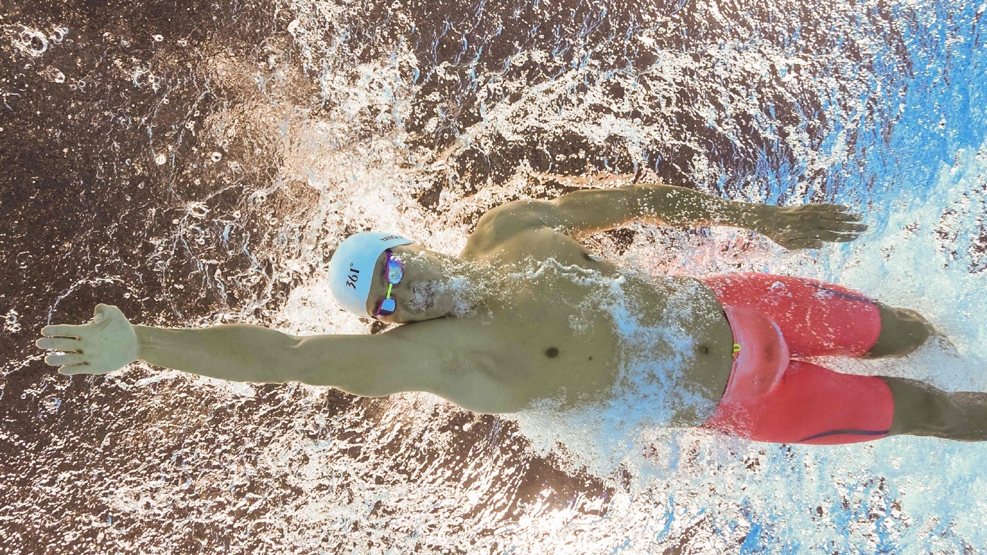 “宠物龟耐力爬行赛” 慢节奏赛事意外受欢迎